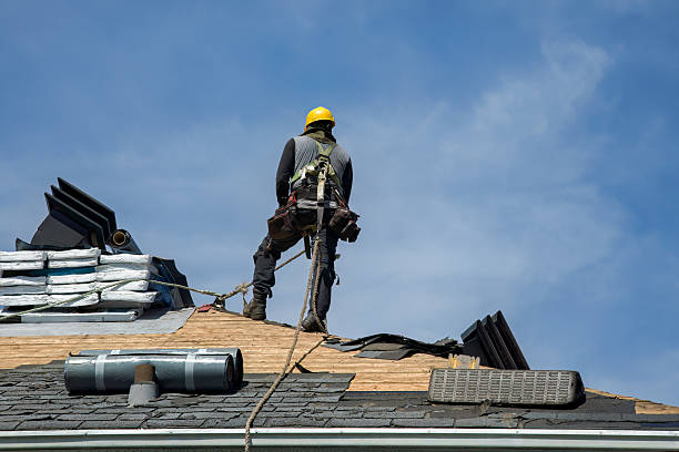 Professional Roof Replacement technician working in Dryden, MI